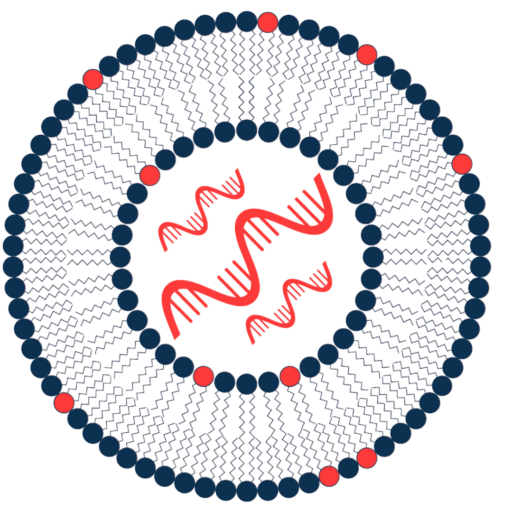 5th LNP Formulation & Process Development Summit